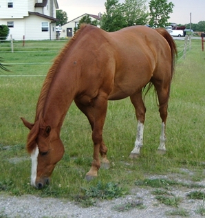 Spike
